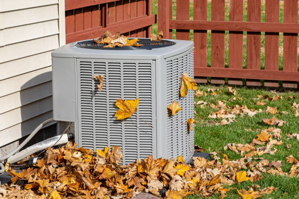 Best Local HVAC companies  in Brunswick, GA